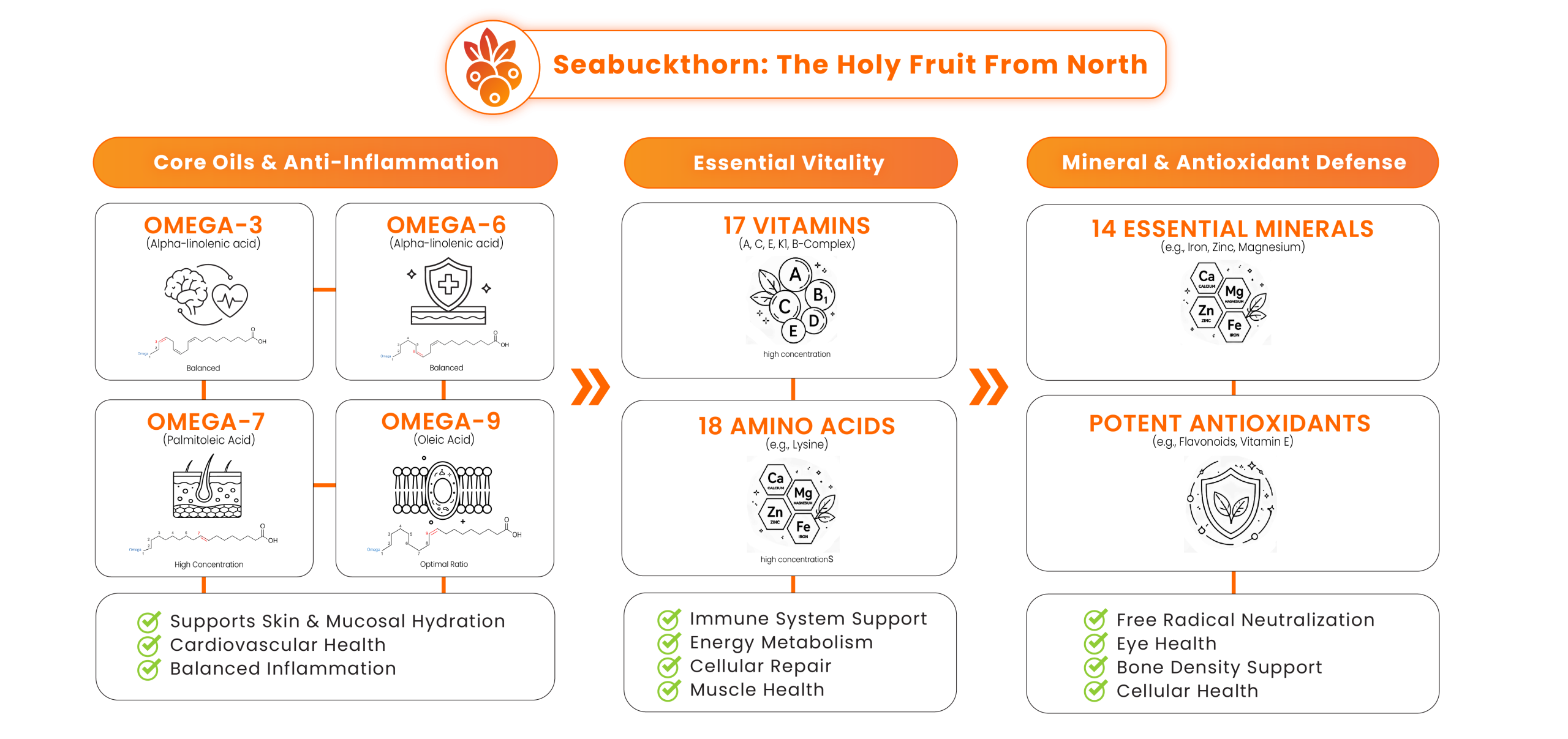Infographic